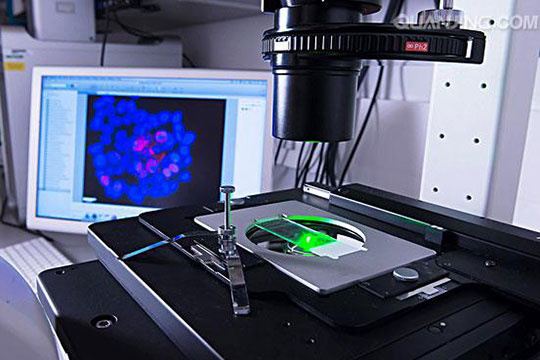 生物医药科研成果